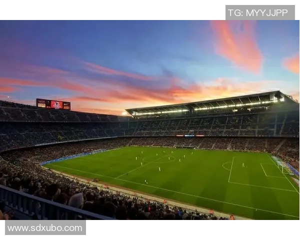 足球小钢炮闪耀绿茵场展现力量与速度的激情传奇